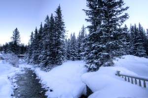 Snowy crossing